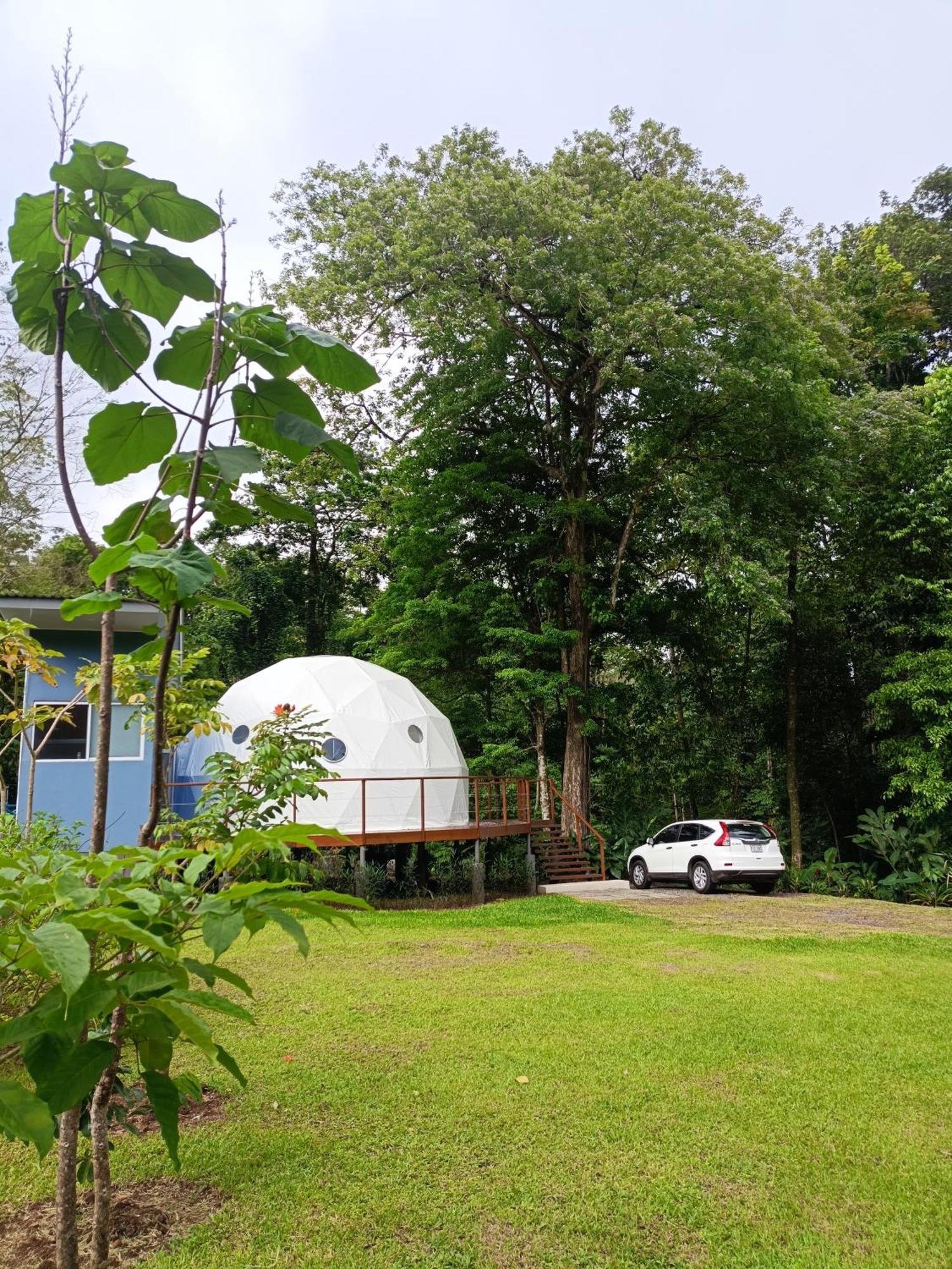 Bitzu Dome-Bijagua Riverside Glamping Екстериор снимка