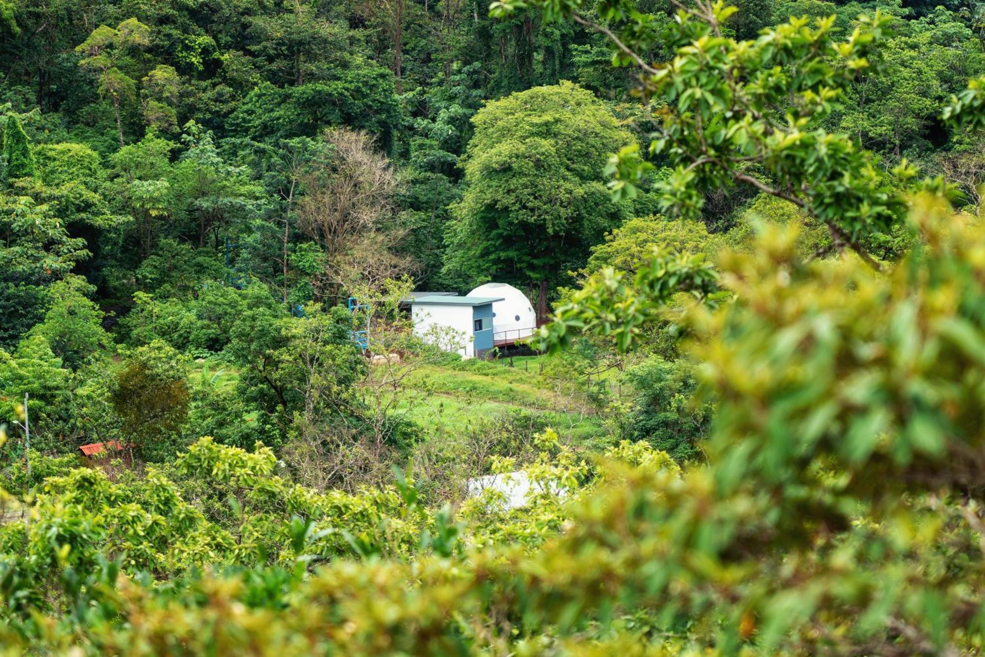 Bitzu Dome-Bijagua Riverside Glamping Екстериор снимка