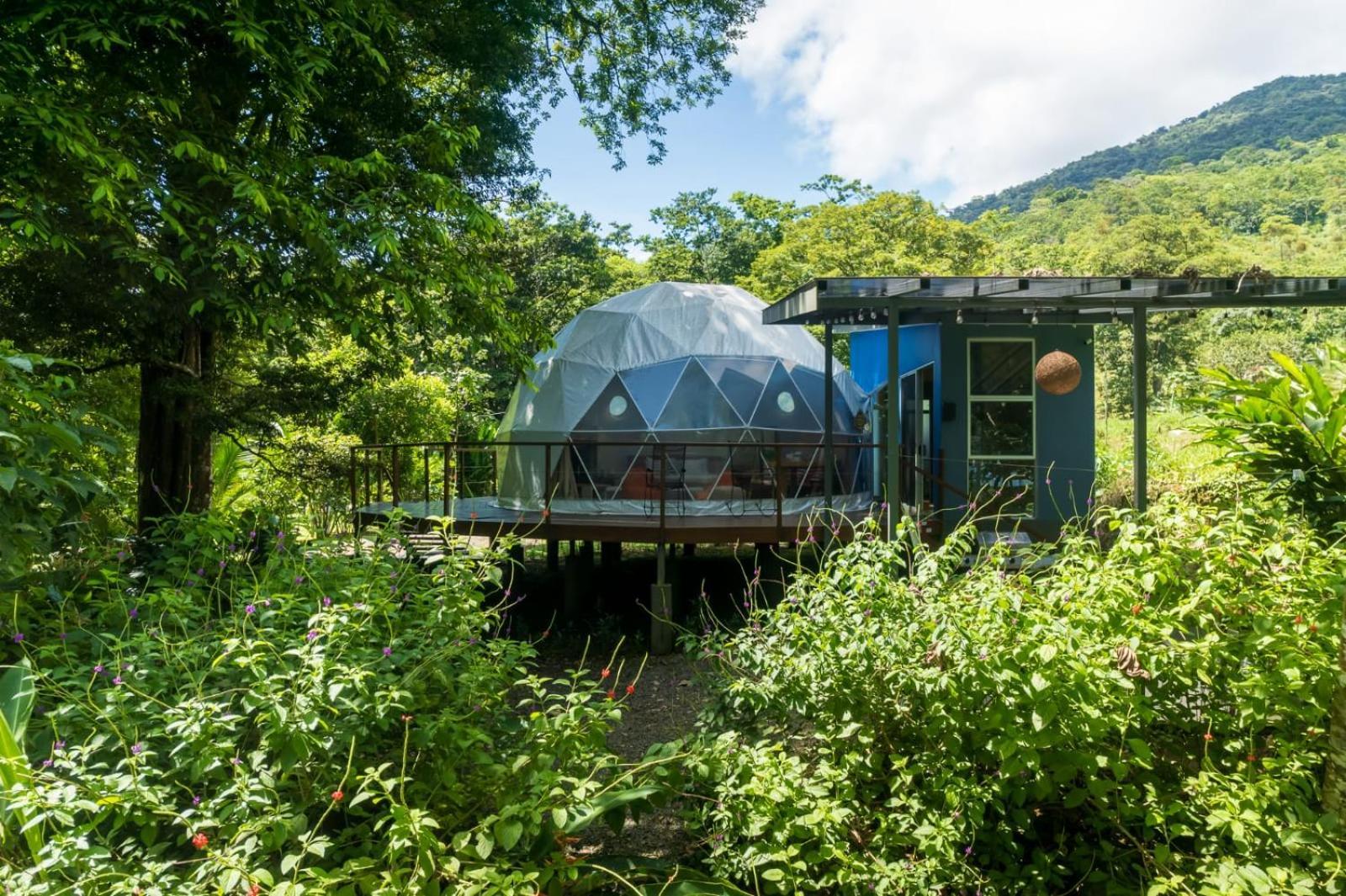 Bitzu Dome-Bijagua Riverside Glamping Екстериор снимка